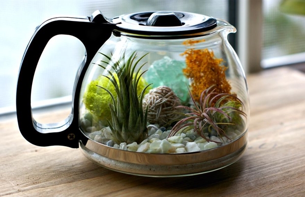 diy-coffee-pot-terrarium (4)