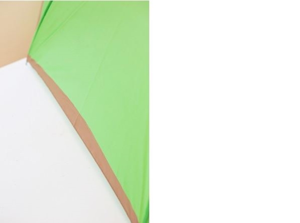kiwi2