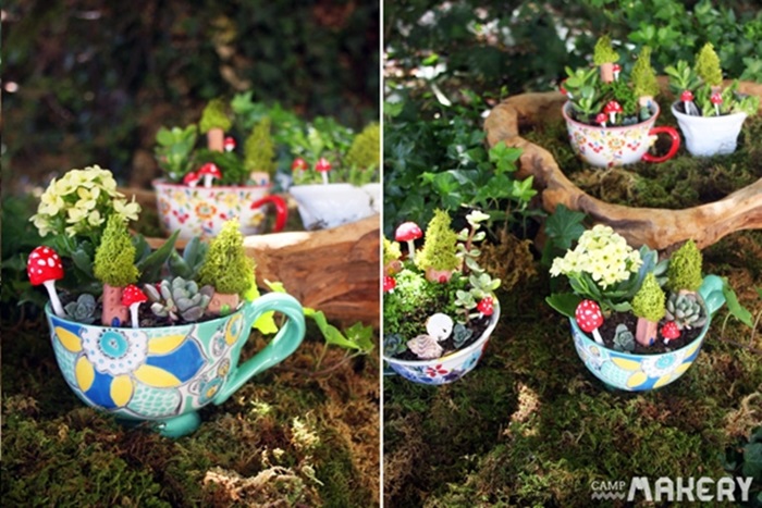 teacup-garden-ideas-10