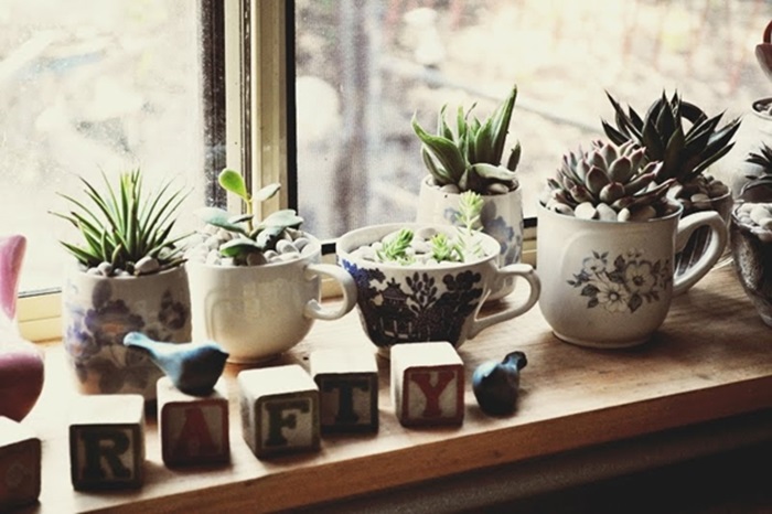teacup-garden-ideas-12