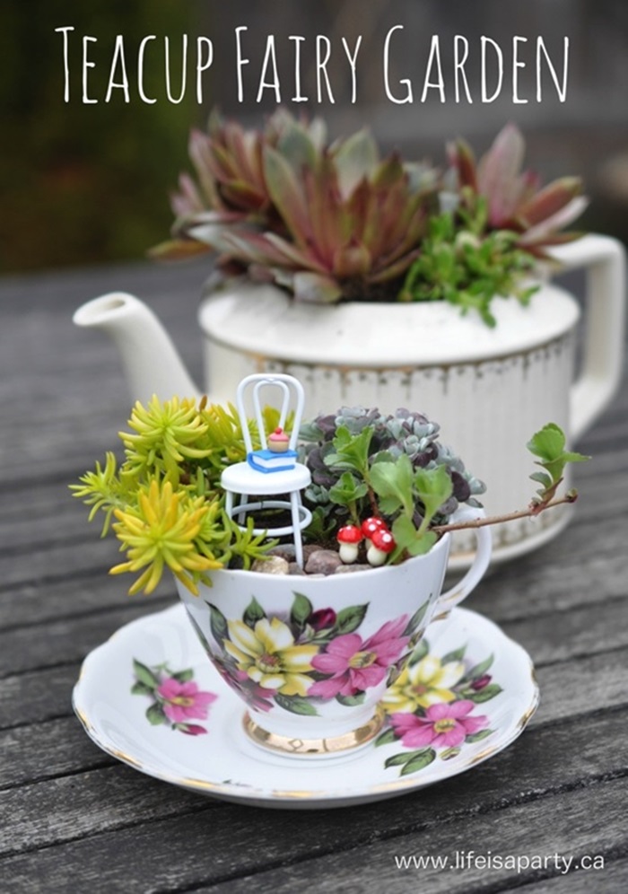 teacup-garden-ideas-7