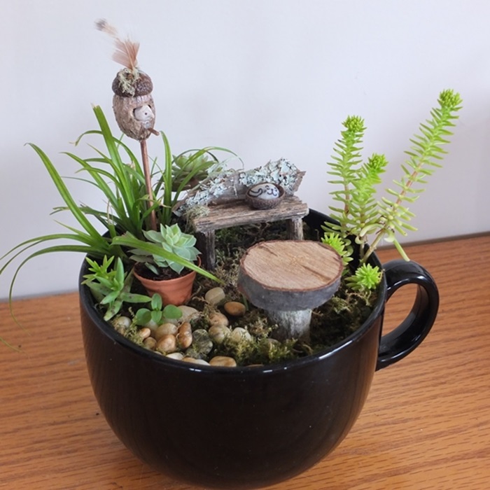 teacup-garden-ideas-9