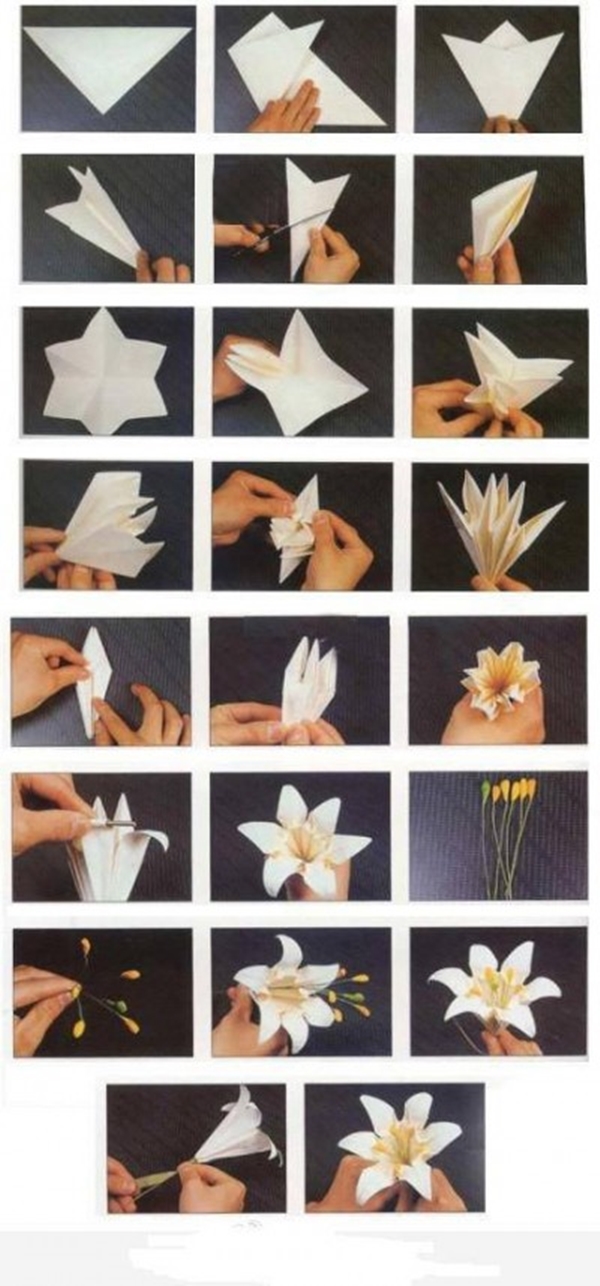lily