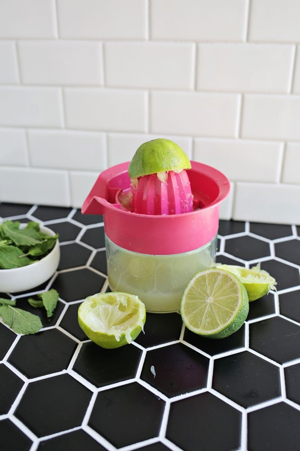 lime mint popsicle (2)
