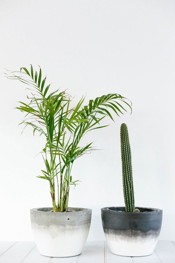 botanic (2)