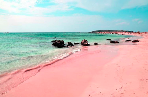 pink beach indonesia (11)