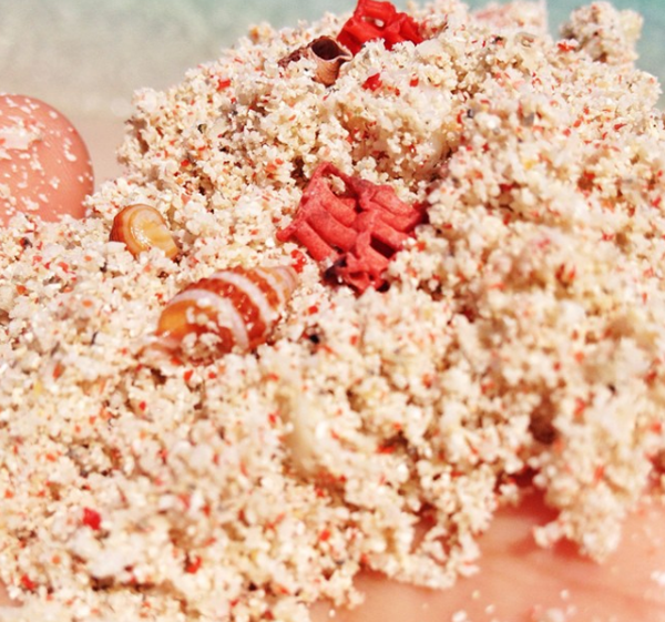 pink beach indonesia (12)