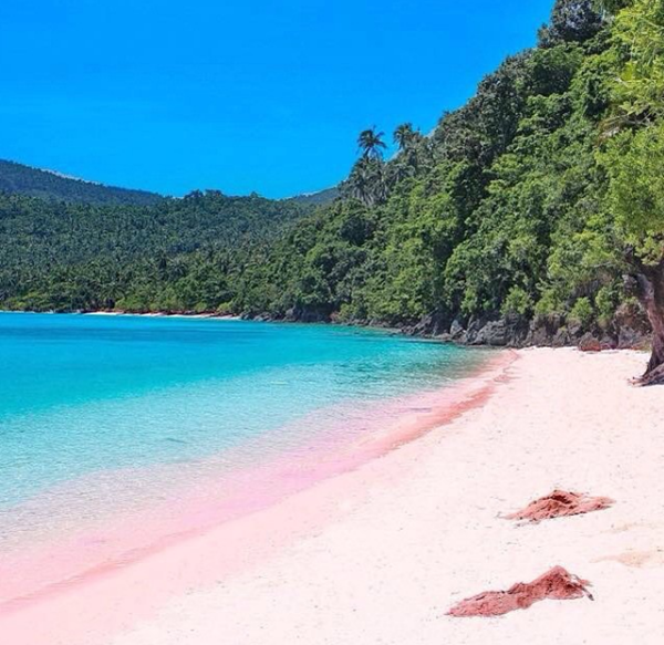 pink beach indonesia (2)