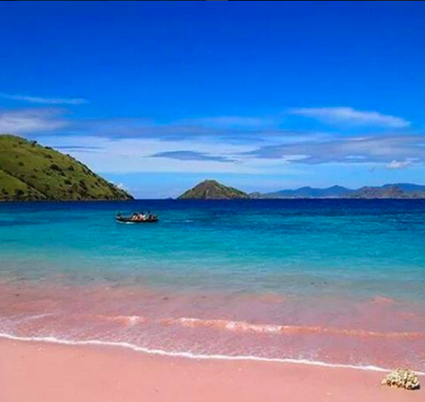 pink beach indonesia (4)