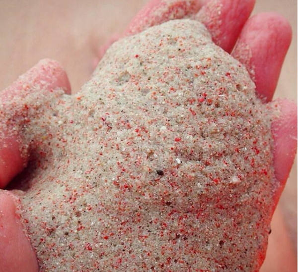 pink beach indonesia (5)