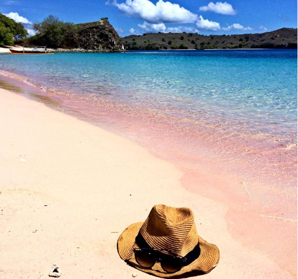 pink beach indonesia (6)
