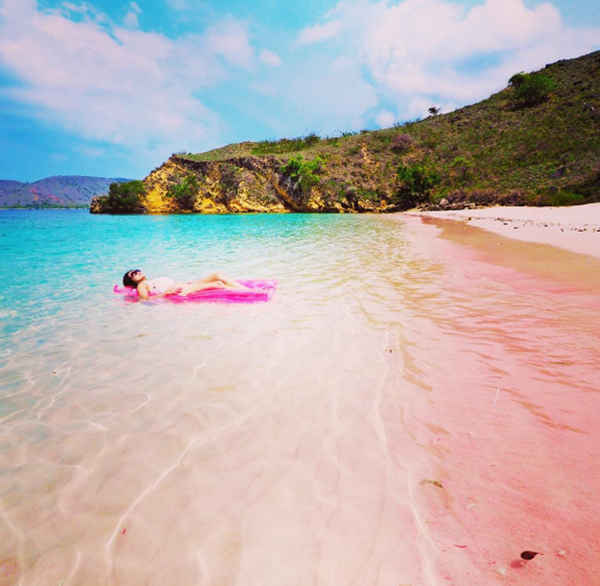 pink beach indonesia (7)