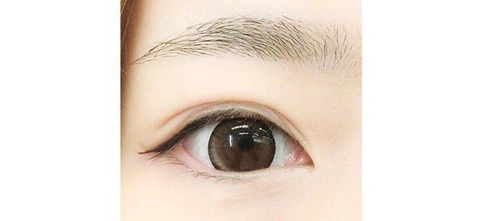 tint brow5