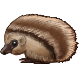 19-hedgehog