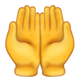 20-palms-up-together