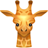 8-giraffe-face