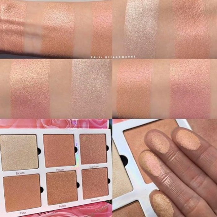 Rose Gold Highlighting Palette (9)