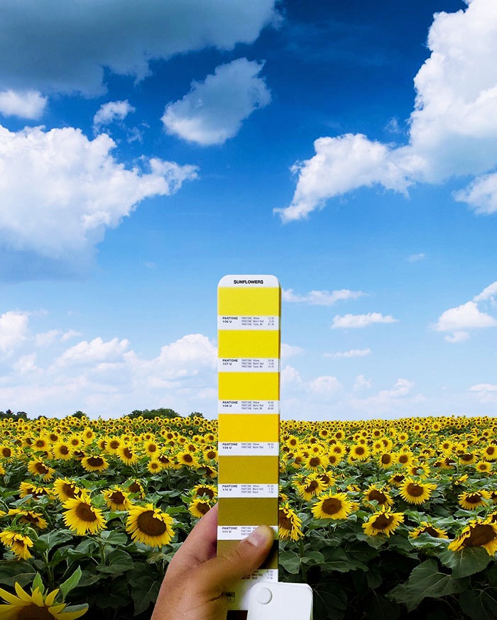 travel with pantone (13)