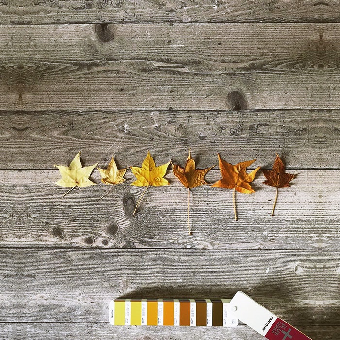 travel with pantone (20)