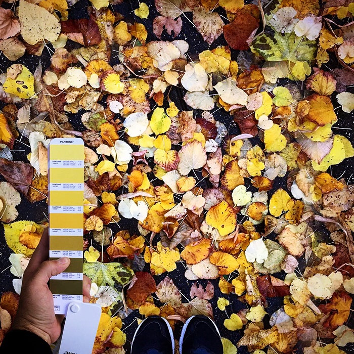 travel with pantone (22)