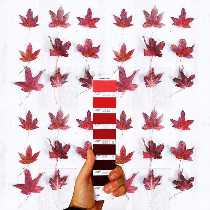 travel with pantone (24)
