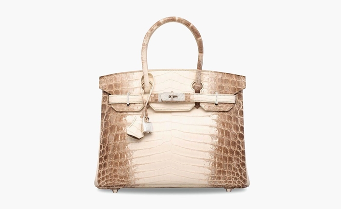 hermes-birkin-himalaya