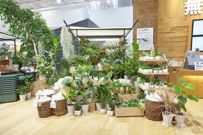 supermarket vegetable and fruit by MUJI (9)