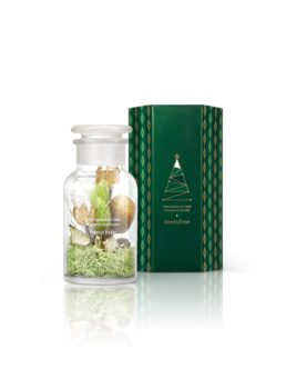 innisfree (21)