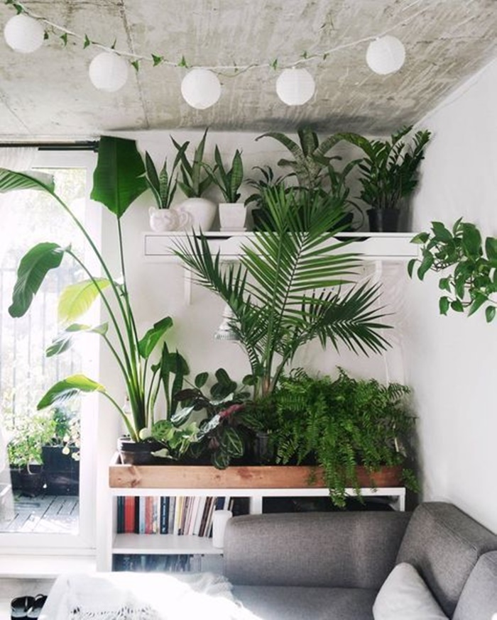 greenery condo decor (1)