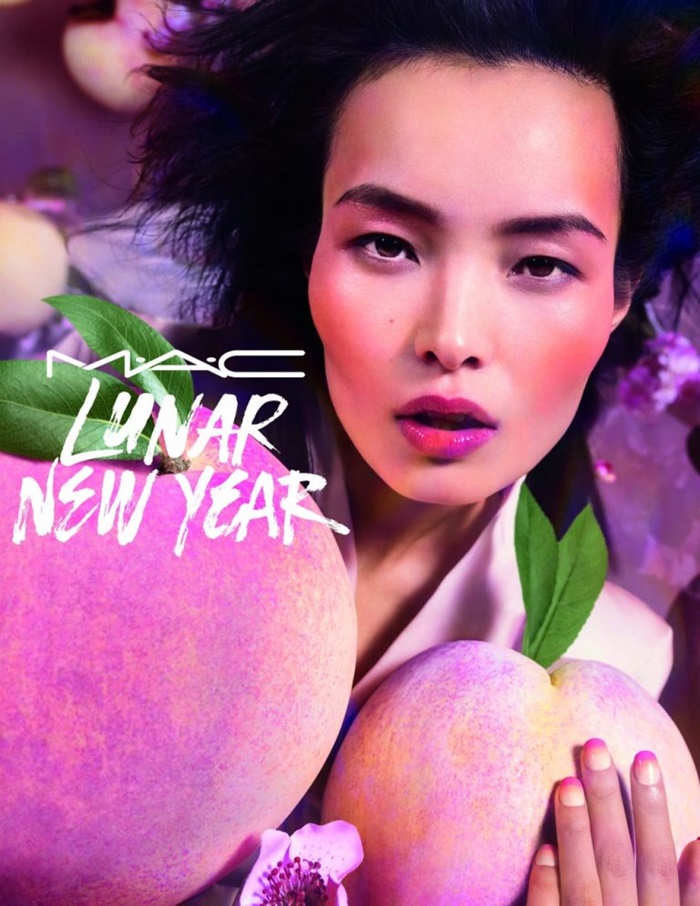 mac lunar new year 2018 (5)