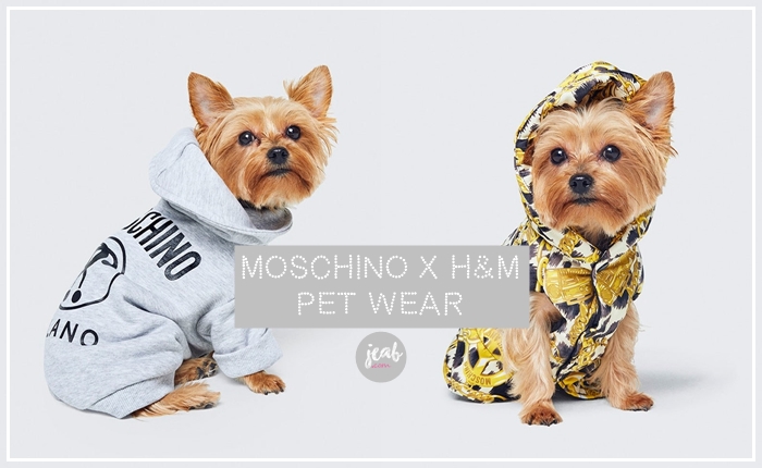 H&m moschino discount pet