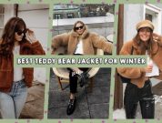 teddy-bear-jc-feature