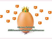 egg-broke-internet-1