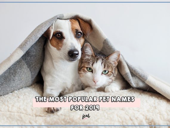 pet-name-1