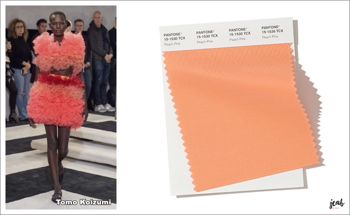 pantone-nyfw-fw2019-peach-pink