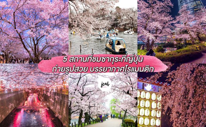 collage